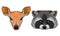 Deer and Striped Raccoon Muzzle with Fur Vector Set