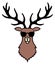 Deer in sunglasses. Funny animal head icon