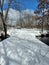 Deer trails on bridge