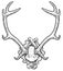 Deer trophy illustration, drawing, engraving, ink, line art, vector