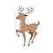 Deer. Vector color freehand illustration in doodle style. Christmas deer