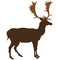 Deer vector flat styled image. Vector image