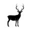 Deer vector isolated illustration. Stag wildlife drawing.