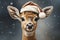 deer wearing a Santa Claus hat