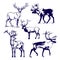 Deer on white background picture. Set of