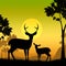 Deer Wildlife Indicates Safari Animals And Evening