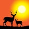 Deer Wildlife Represents Nature Reserve And Animal