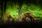 Deers Population Rising in Kaziranga forest India, Green background Photo Photo