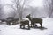 Deers statue and snow falling in forest on Hanla Mountain volcano or Mount Halla in Hallasan National Park for korean people