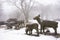 Deers statue and snow falling in forest on Hanla Mountain volcano or Mount Halla in Hallasan National Park for korean people