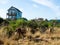 Deers walking in a residential neighborhood of Ocean Shores