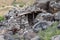 The defensive dugout on the Golan Heights in Israel has been left since the days of the Doomsday Yom Kippur War war.