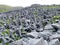 Defensive stones arranged around DÃºn Aonghasa Fort