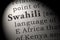 Definition of Swahili