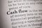 Definition of the word cash flow