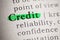 Definition of the word credit