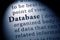 Definition of the word database