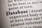 Definition of the word database
