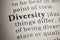 Definition of the word diversity