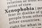 Definition of xenophobia