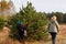 Defocus back view of two woman walking in pine forest. Mushroom picking season, leisure and people concept, mother and