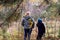 Defocus back view of two woman walking in pine forest. Mushroom picking season, leisure and people concept, mother and