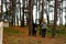 Defocus back view of two woman walking in pine forest. Mushroom picking season, leisure and people concept, mother and