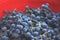 Defocus blue grape on red background. Red wine grapes background retro. Vineyard. Closeup. Copy space. Out of focus