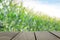 Defocus and blur image of terrace wood and Sweet Corn field in s