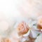 Defocus blur pastel floral background