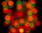 Defocus blurred light bulb, round lens flare bokeh decoration. Background backdrop design red yellow green. Christmas garland with