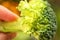Defocus broccoli closeup nature background. Healthy Green Organic Raw Broccoli Florets Ready for Cooking. Macro. Botany