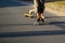 Defocus children playing on skateboard in the street. Caucasian kids riding penny board, practicing skateboard