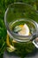 Defocus close-up slice lemon and leaves of mint in glass jug of lemonade natural green background. Pitcher of cool