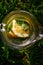 Defocus close-up slice lemon and leaves of mint in glass jug of lemonade natural green background. Pitcher of cool