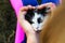 Defocus female hand stroking and caress cute adorable black and white cat, kitten with yellow eyes. Pet love background