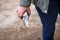 Defocus gardening scissors. Female hand holding gardening scissors. Gardener with pruning shears in hand. Nature blur