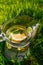 Defocus glass jug of lemonade with lemon and mint in on natural green background. Pitcher of cool summer cocktail or