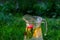 Defocus glass jug of lemonade with slice lemon and mint on natural green background with water drops. Pitcher of fresh