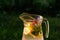 Defocus glass jug of lemonade with slice lemon, strawberry and mint on natural deep green background. Pitcher of cold