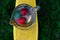 Defocus glass jug of lemonade with strawberry, slice lemon and leaves of mint on yellow board. Blurred green background