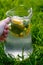 Defocus hand holding glass jug of lemonade with lemon and mint in on natural green background. Pitcher of cold summer