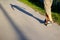 Defocus little child with penny skateboard on path in park. Boy rides a penny board in sunshine day. Outdoor lifestyle