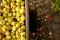 Defocus many yellow apples background. Autumn harvest, wheelbarrow and crate full of apples. Ugly fruits. Blurred. Copy