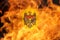 Defocus protest in Moldova. Moldova flag painted on fire flame background. Strength, Power, Protest and punch concept