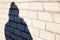 Defocus shadow of person in winter cap on white brick wall. Light and shadow women. Female person silhouette. People