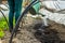 Defocus view Of farmer female Watering Garden Plants and soil, Irrigation Water In The Garden Plastic sprinkling can or