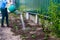 Defocus watering plants, strawberries on beds from a green watering can. Unrecognisable woman watering current bush bed using