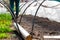 Defocus woman gardener is standing near a low tunnel greenhouse. The farmer looking on crop and harvest. Greens in the greenhouse