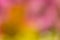 Defocused abstract colorful background